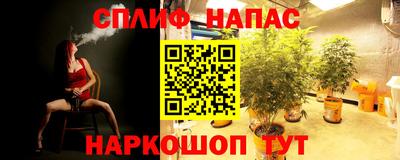 ПСИЛОЦИБИНОВЫЕ ГРИБЫ Жуковский