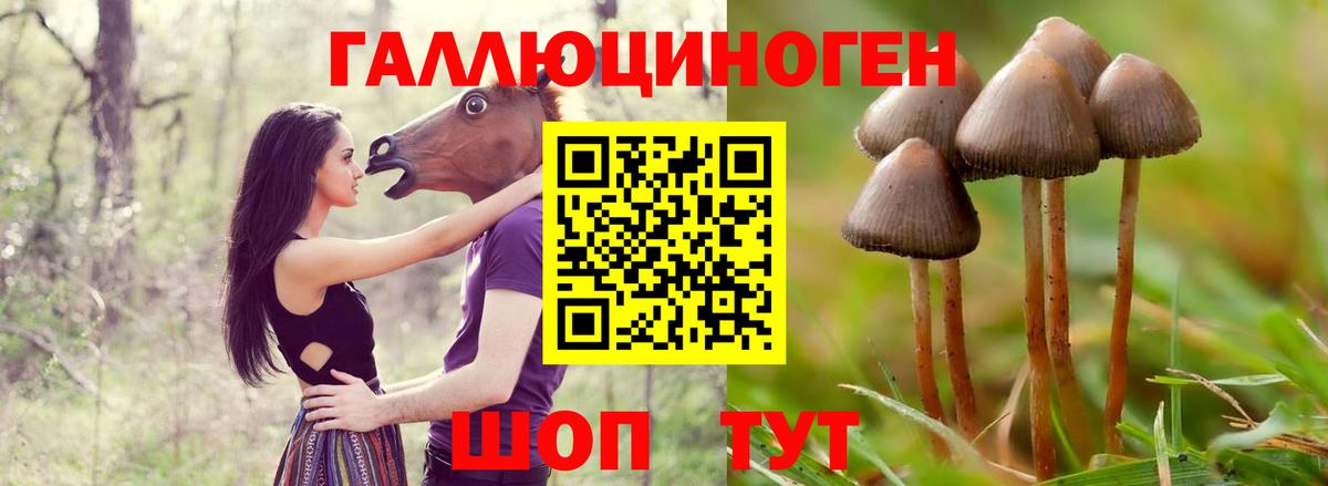 Галлюциногенные грибы Magic Shrooms  Вход с VPN  Майкоп 