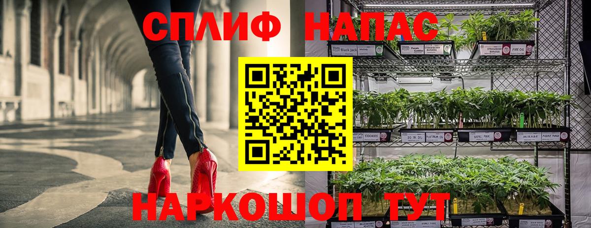 Канабис White Widow Майкоп